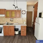 Rent 1 bedroom apartment of 19 m² in Ústí nad Labem