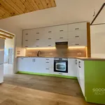 Rent 2 bedroom apartment of 93 m² in Březno u Mladé Boleslavi