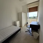 Rent a room of 110 m² in Modena