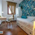 Rent 3 bedroom apartment of 65 m² in Rome