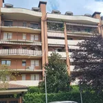 Rent 2 bedroom apartment of 60 m² in San Mauro Torinese