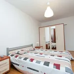 Rent 2 bedroom apartment of 58 m² in Prague