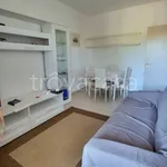 Rent 2 bedroom apartment of 52 m² in Misano Adriatico