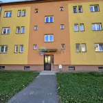 Rent 2 bedroom apartment of 60 m² in Ostrava