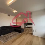 Rent 2 bedroom apartment of 150 m² in Padova