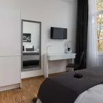 Studio of 31 m² in berlin