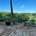 Rent 4 bedroom apartment of 130 m² in Perugia