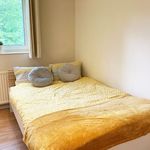 Rent a room in East Midlands