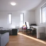 Rent 1 bedroom apartment of 39 m² in Prague