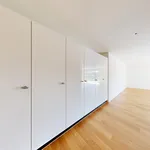 Rent 4 bedroom apartment of 152 m² in Zurich