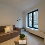 Huur 1 slaapkamer appartement in Gent