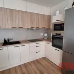 Rent 1 bedroom apartment in Pilsen