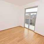 Rent 4 bedroom apartment of 124 m² in Chemnitz