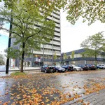 Rent 1 bedroom apartment of 41 m² in Düsseldorf