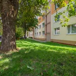 Pronajměte si 4 ložnic/e byt o rozloze 80 m² v litvinov