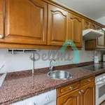 Alquilo 3 dormitorio apartamento de 79 m² en Oviedo