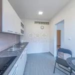 Rent 2 bedroom apartment of 43 m² in Havířov