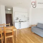 Rent 1 bedroom apartment of 24 m² in Łódź