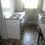 Rent 3 bedroom apartment of 60 m² in Roccaforte Mondovì