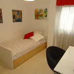 Rent a room in cordoba