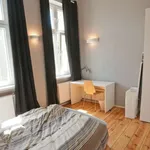 Rent 1 bedroom apartment in Wrocław