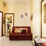 Rent 1 bedroom apartment in Rome