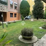 Rent 4 bedroom apartment in Padova