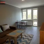 Rent 2 bedroom apartment of 36 m² in Łódź