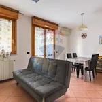 Rent 2 bedroom apartment of 55 m² in Busto Arsizio