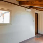 Rent 4 bedroom apartment of 55 m² in Bologna