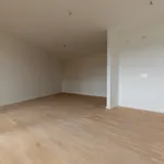 Rent 3 bedroom apartment of 102 m² in Leipzig