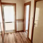 Pronajměte si 3 ložnic/e byt o rozloze 52 m² v Prague