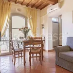 Rent 3 bedroom apartment of 60 m² in Lastra a Signa