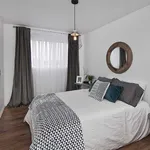 Rent 2 bedroom apartment in Lévis