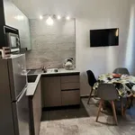 Rent 1 bedroom house of 45 m² in Turin