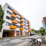 Rent 2 bedroom apartment of 58 m² in Brno