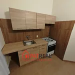 Rent 1 bedroom apartment of 35 m² in Brno