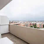 Rent 1 bedroom apartment in Rome