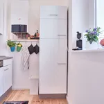 Rent 1 bedroom apartment of 45 m² in berlin