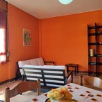 Rent 2 bedroom apartment of 78 m² in Sesto San Giovanni