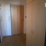 Rent 1 bedroom apartment of 50 m² in Ostrava