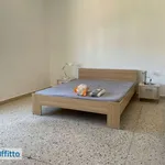 Appartamento arredato con terrazzo Rieti