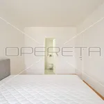 Rent 3 bedroom apartment of 111 m² in Zagreb