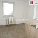 Rent 2 bedroom apartment of 38 m² in Břeclav