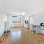 Rent 1 bedroom apartment in Tachov