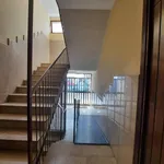 Rent 4 bedroom apartment of 110 m² in Palermo