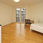 Rent 1 bedroom apartment of 31 m² in Dresden