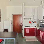 Rent 1 bedroom apartment in milan