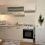 Rent 1 bedroom apartment of 36 m² in Brno