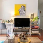 Rent 2 bedroom apartment in ULTIMO